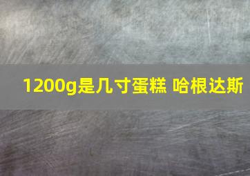 1200g是几寸蛋糕 哈根达斯